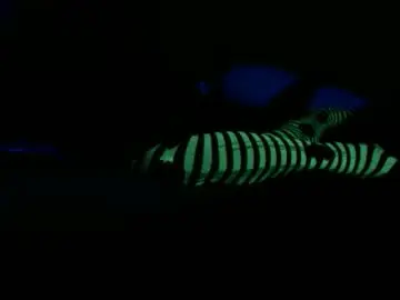 Chaturbate Live Sex Cam of charr1barr