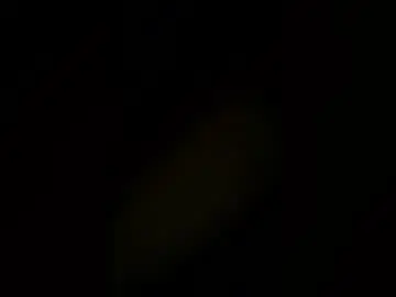 Chaturbate Live Sex of karlakush101
