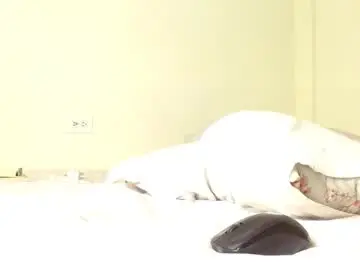 Chaturbate Live Sex Cam of gabriela__bigass