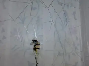 Chaturbate Free Live Porn of sexygoddessjade