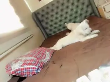 Chaturbate Free Live Porn of girl_in_ur_dreams