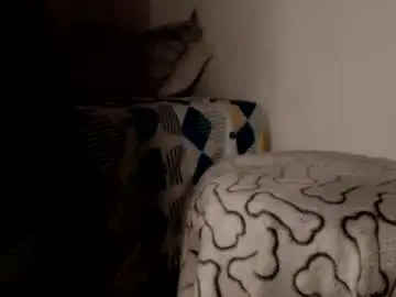 Chaturbate Sex Chat of boy_trans