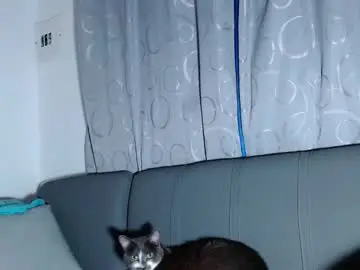 Chaturbate Live Sex Cam of boy_trans