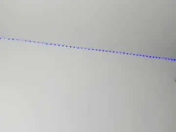 Chaturbate Best live sex cam show of boy_trans