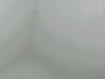 Chaturbate Nude Webcam of ivory_cat69
