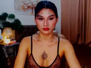 Chaturbate Adult Webcams of msasianbigcockts