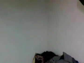 Chaturbate Live Porn of elphinez