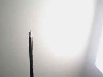 scarletwhite_30 from chaturbate