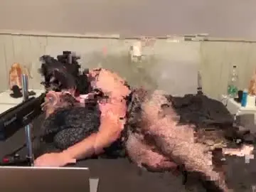 Chaturbate Nude Webcam of tammiesissy