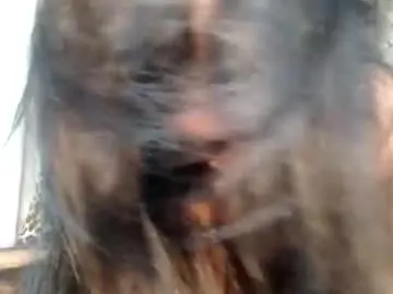 Chaturbate Best Webcam of cum_overload