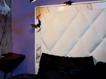 Chaturbate Adult Webcam of clara_evanss