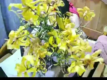 Chaturbate Free Porn Cam of soniahiddencd