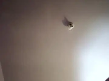 Chaturbate Private Sex Chat of overdosecum