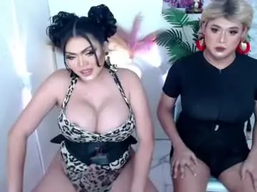 Chaturbate Adult Video Chat of 10incheskinkynastytrans