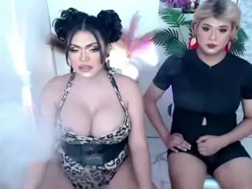 Chaturbate Private Sex Chat of 10incheskinkynastytrans