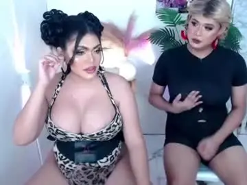 Chaturbate Private Sex Chat of 10incheskinkynastytrans