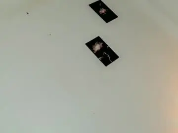 Chaturbate Best Webcam of nicole_amore