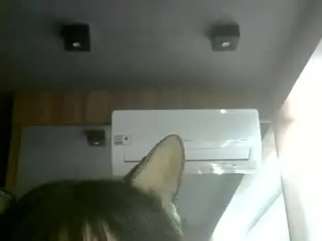 Chaturbate Sex Cam of skinnykittencam