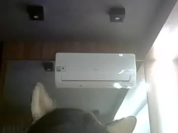 Chaturbate Adult Webcam of skinnykittencam
