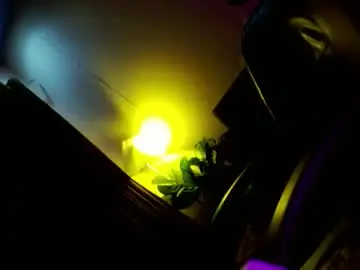 Chaturbate Adult Video Chat of love_seren