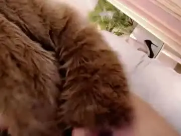 Chaturbate Live Porn of lady_in_black18