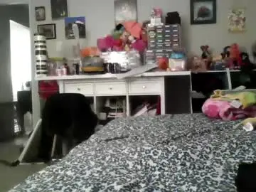 Chaturbate Live Porn of sassypandaxxx