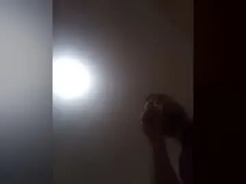 Chaturbate Live Sex Cam of dankshepp