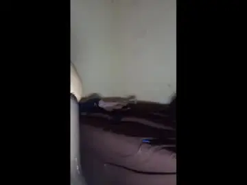 Chaturbate Nude Webcam of dankshepp
