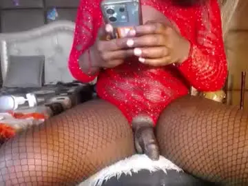 Chaturbate Live Sex of big_trans