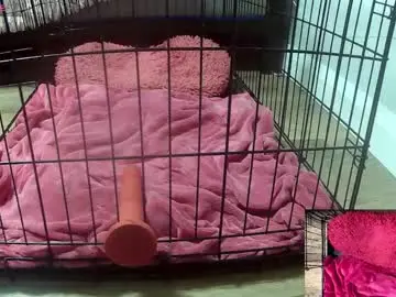 Chaturbate Private Sex Chat of princessjuliaxo4