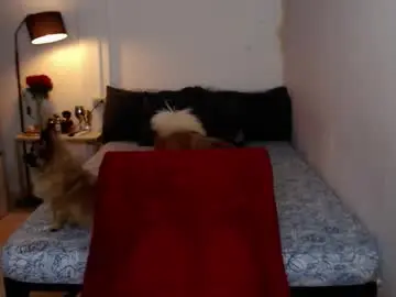 Chaturbate Adult Webcams of dreamgirlheaven