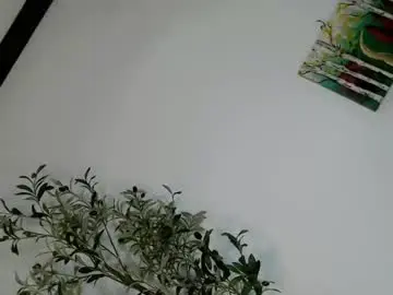 Chaturbate Sex Cam of femboy_veronica