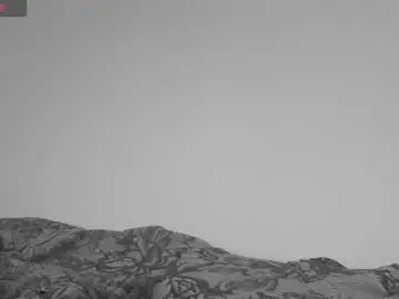 Chaturbate Free Live Porn of felinexoxo