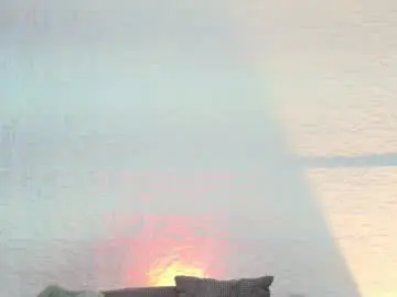 Chaturbate Adult Webcam of arivega