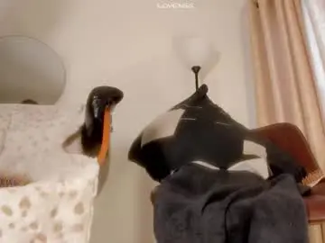 Chaturbate Adult Webcams of isabelsexysmile_