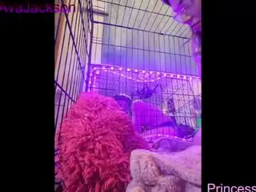 Chaturbate Live Sex of queenavajackson
