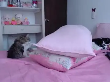 Chaturbate Adult Webcams of dolcevainin