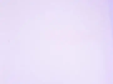 Chaturbate Sex Chat of cellesteevans