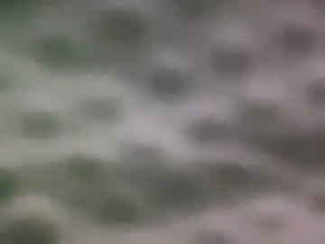 Chaturbate Private Sex Chat of ur_new_obsession