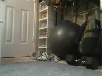 Chaturbate Free Porn Cam of sexyftmfucktoy