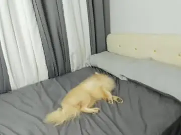 Chaturbate Adult Webcam of khloefucker