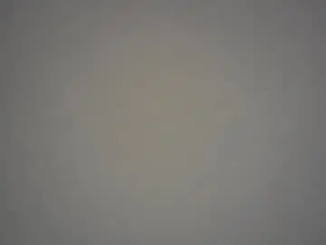 Chaturbate Free Porn Cam of tslexidream