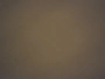 Chaturbate Adult Webcam of tslexidream