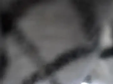 Chaturbate Adult Webcams of tslexidream
