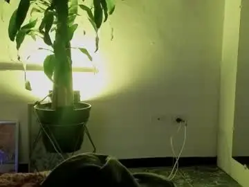 Chaturbate Best live sex cam show of im_perla_