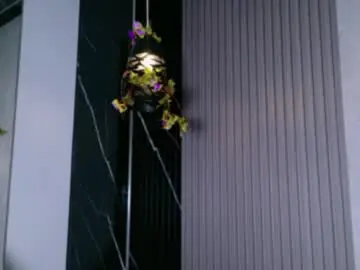 Chaturbate Watch Live Sex Cams of americapaz