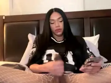 Chaturbate Adult Video Chat of dynasty313