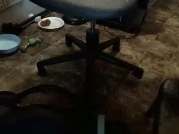 Chaturbate Free Porn Cam of an0988