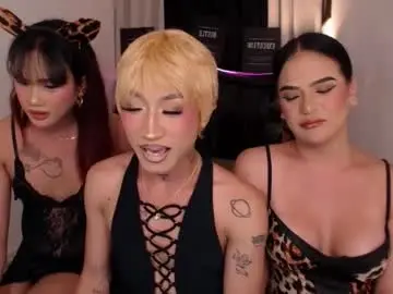Chaturbate Live Sex of pussydoll07