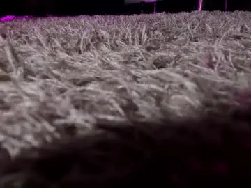 axellcollins from chaturbate